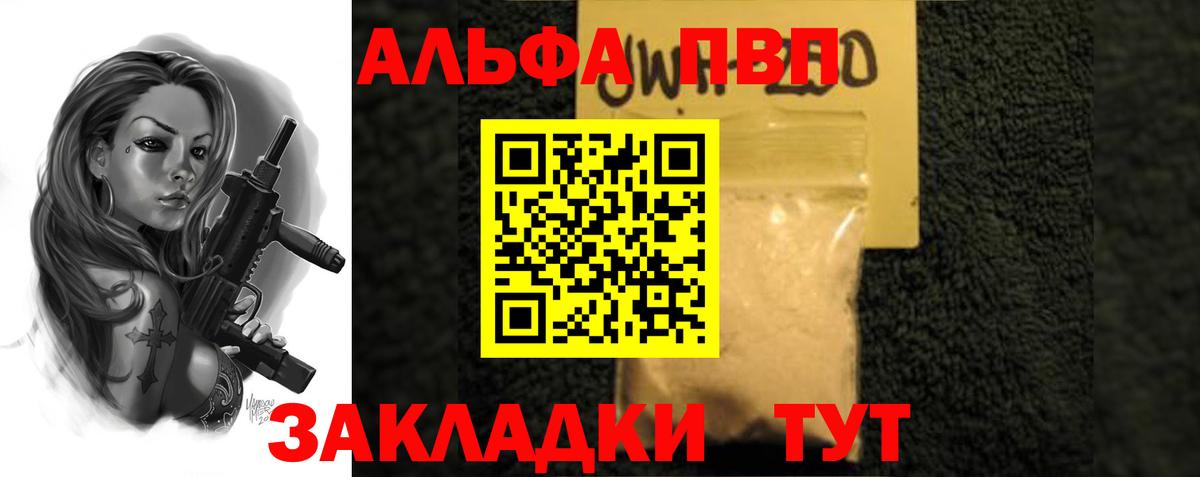 Альфа ПВП СК КРИС  Вход с VPN  сколько стоит  Сургут  А ПВП СК 