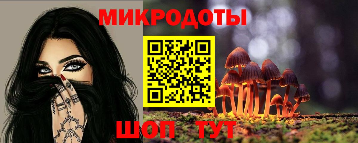 Сургут  Галлюциногенные грибы GOLDEN TEACHER  где продают наркотики  Вход с VPN 